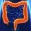 Comment nettoyer son colon naturellement : conseils, astuces et recettes simples