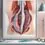 Fissure vaginale : que faire ?